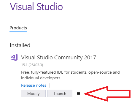 Visual Studio launch